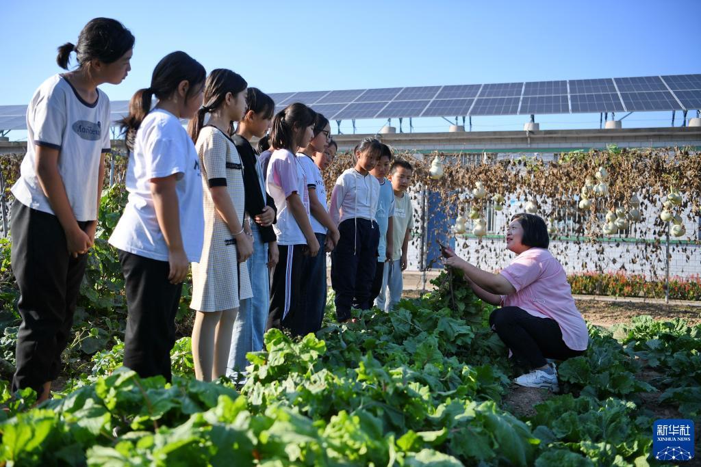 大满贯下载安卓版